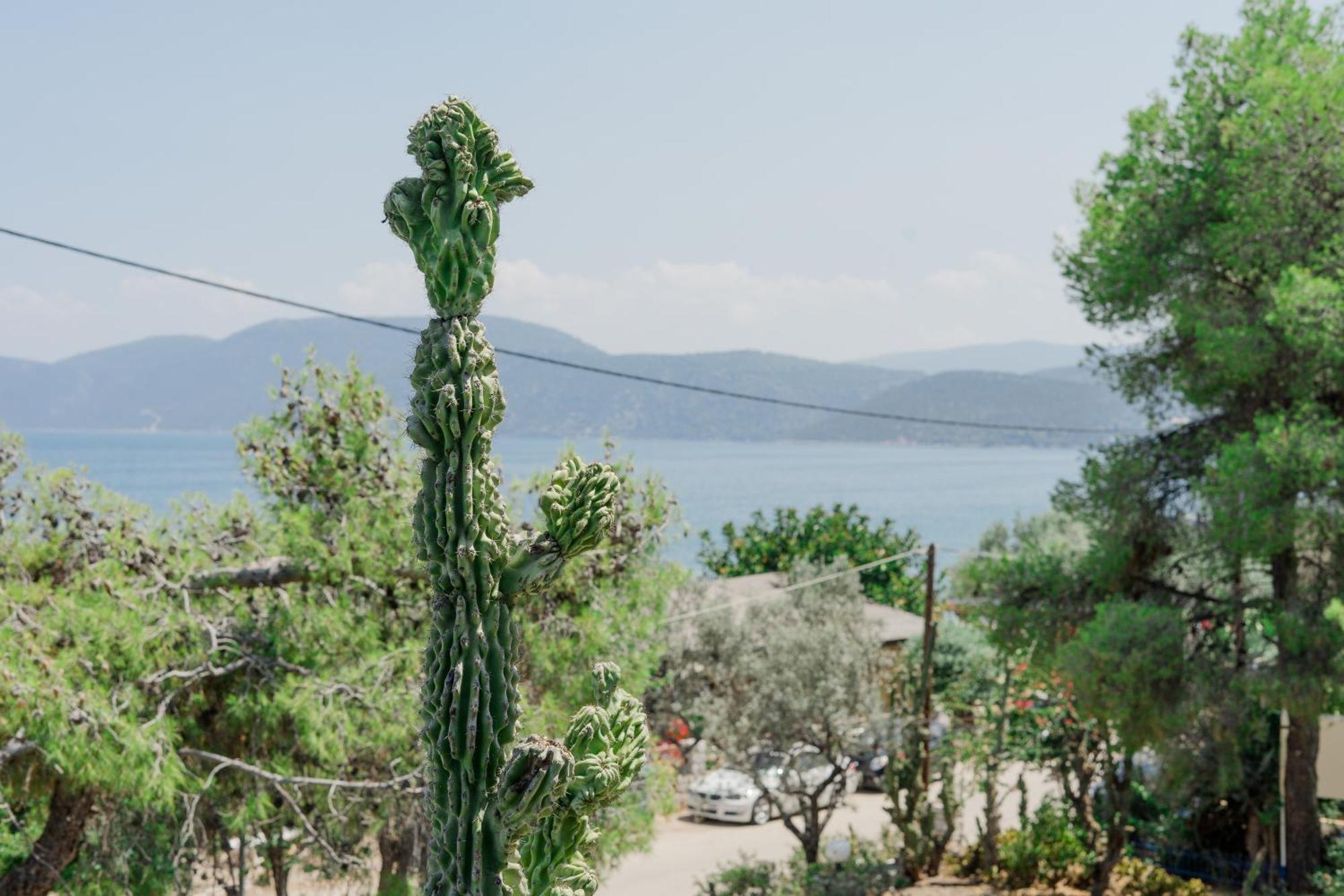 Hotel Korfos - Ξενοδοχείο Κόρφος Renovated Eksteriør bilde
